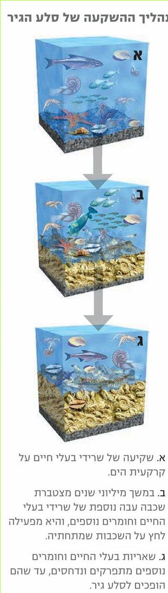 תהליך ההשקעה של סלע הגיר